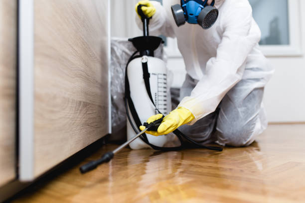 Best Best Pest Control Companies  in Saranac Lake, NY