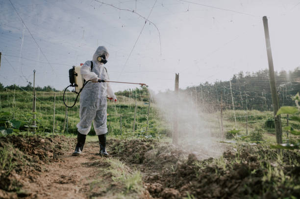 Best Pest Prevention Services  in Saranac Lake, NY