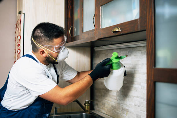Best Pest Inspection Near Me  in Saranac Lake, NY
