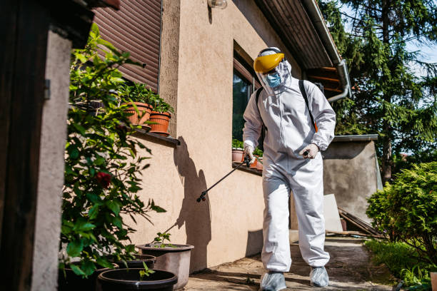 Bird Control in Saranac Lake, NY