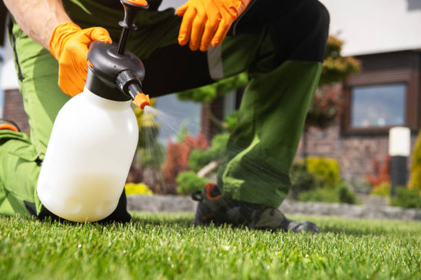 Best Rodent Control Near Me  in Saranac Lake, NY