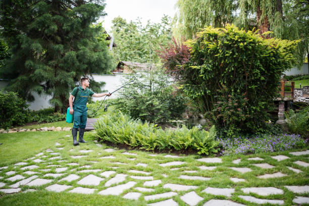 Best Wildlife Control Services  in Saranac Lake, NY