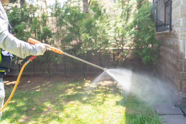 Best Ant Control Services  in Saranac Lake, NY