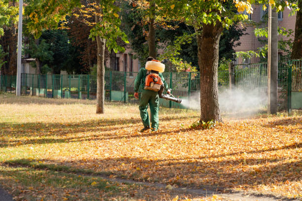 Best Mosquito Control Services  in Saranac Lake, NY