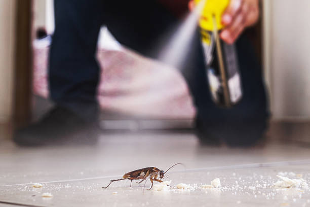 Best Mosquito Control Services  in Saranac Lake, NY