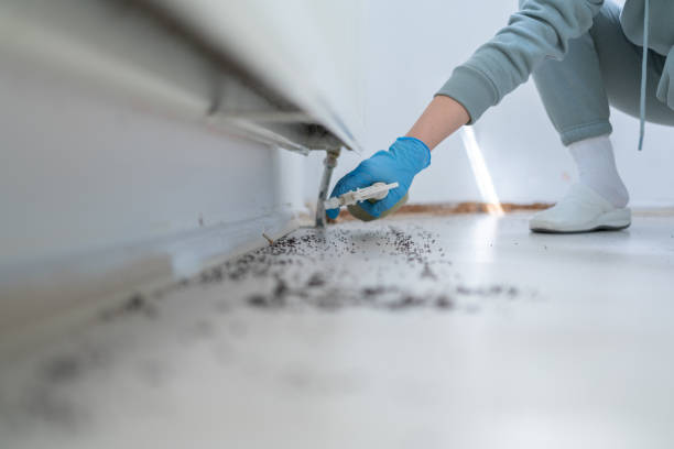 Best Best Pest Control Companies  in Saranac Lake, NY